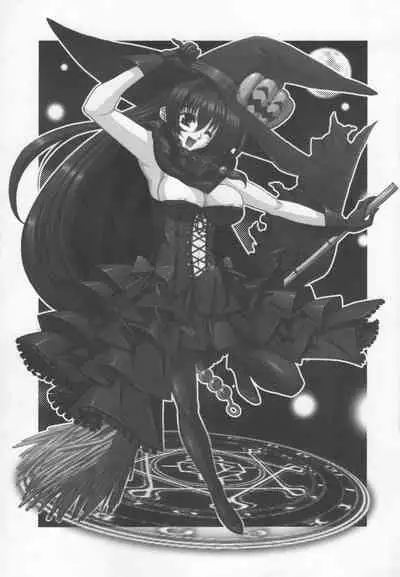 SHEMALELOVERS Vol.14