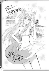 (C74) [kurousagi (Kayura Yuka, UTATA)] Dear Kuro Usagi (Spice and Wolf)