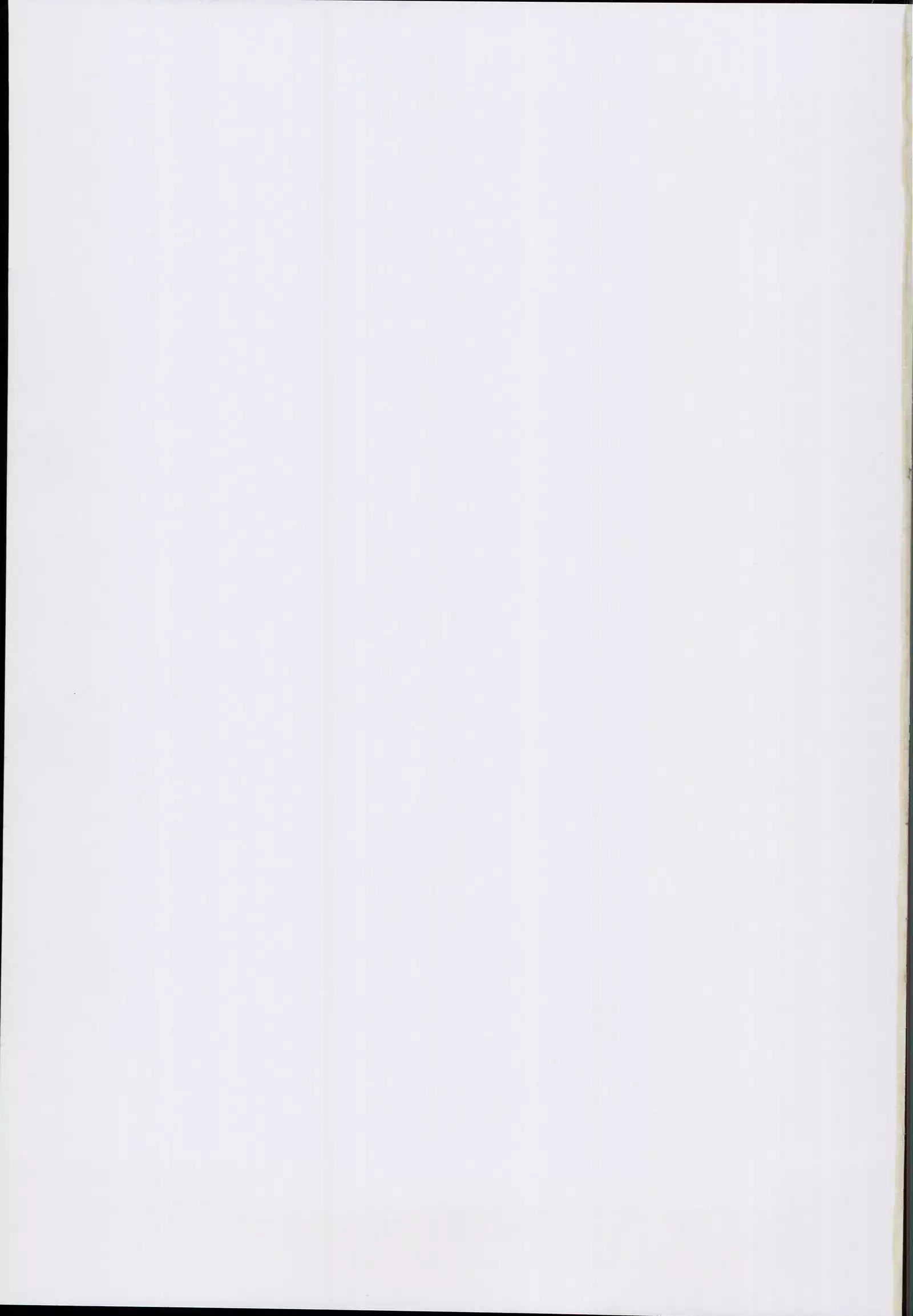 Sukima Youkai to Honki Kozukuri