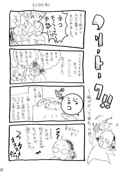 (C67) [Ginmomodou (Mita Satomi)] Raichi (Detective Conan)