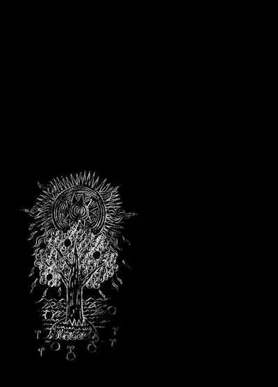 [Sakusaku Kangen Noushuku (Matashita Kintama)] Seijin no Gi [English] [Endless Pleasure] [Digital]