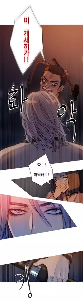 Scandal of the Witch Ch.0-33