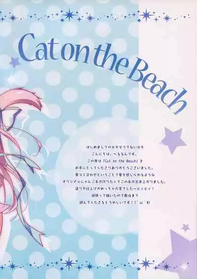 Cat on the Beach